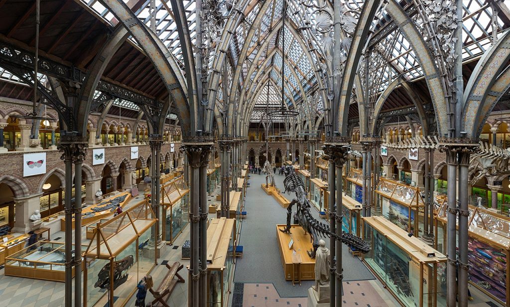 موزه تاریخ طبیعی موزه های معروف آکسفورد